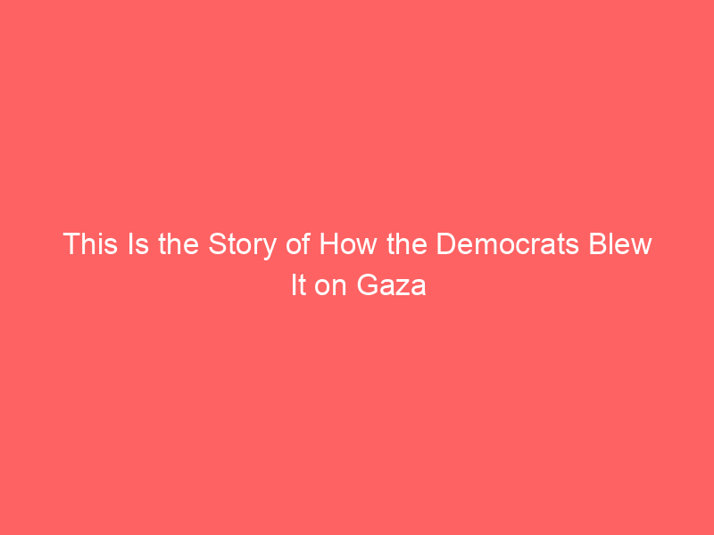 This Is the Story of How the Democrats Blew It on Gaza
